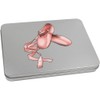 Azeeda 220mm 'Ballet Shoes' Metal Hinged Tin/Storage Box (TT00237669)