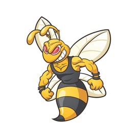 Magnet Angry Yellow Jacket bee Magnetic vinyl bumper sticker sticks to any metal fridge, car, signs 5"