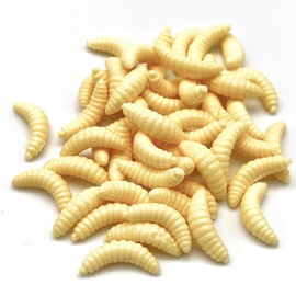 Worms for Fishing Soft Lures - Smelling Artificial Maggots for Fishing - 50pcs Lifelike Soft Bait - Fishing Bait - Carp, Brown Trout, and Barbel Lures