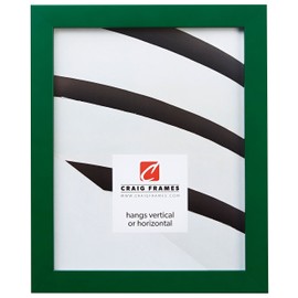 Craig Frames Confetti, Modern Green Picture Frame, 20 x 27 Inch