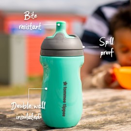 Tommee Tippee Insulated Sportee Toddler Water Bottle with Handle — 12m+, 2 Count (Pack of 1)
