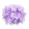 Eye-Catching and Modern Real Natural Lilac Feather Decorated Small Pendant