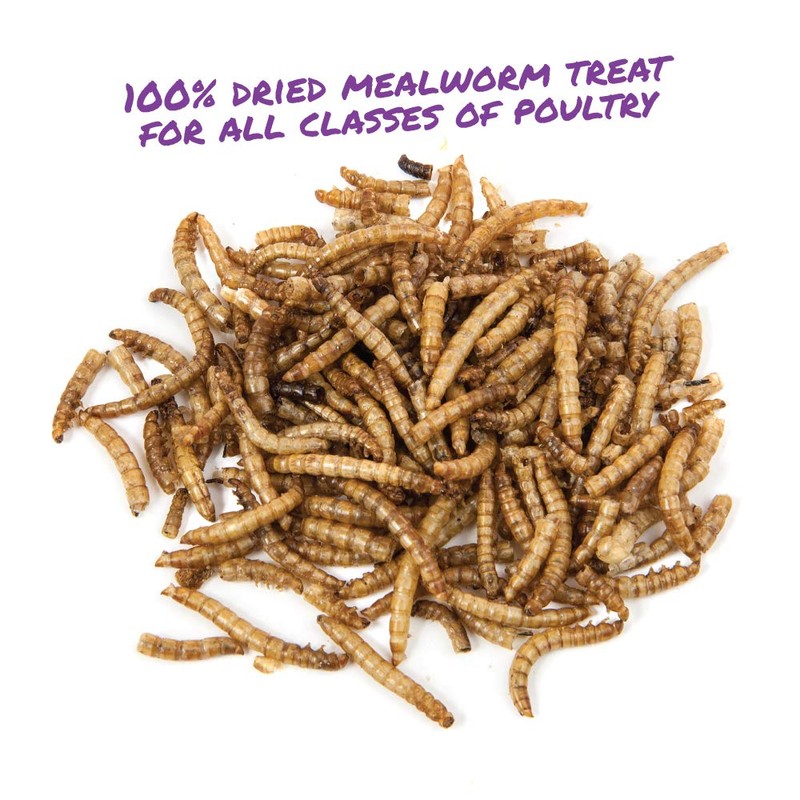 Manna Pro Mealworm Munchies, 30 oz