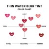 BRAYE [BRAYE]Thin Water Blur Tint (10 colors)