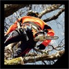Oregon SpeedCut Nano Chainsaw Chain for 12” (30cm) Bar, .325"