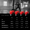 Everlast Unisex - Adult Boxing Gloves Pro Style 2 Glove