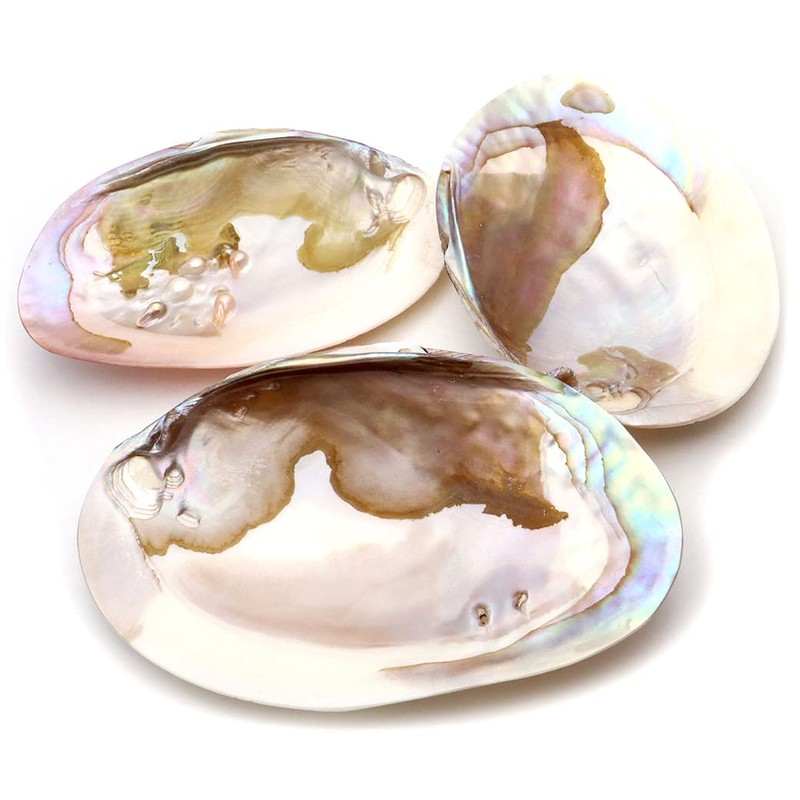 Pearl Shell Purifying Dish, Sold as 1 Pan, Trinket Box,