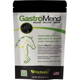 GastroMend® Horse Ulcer & Gut Health Supplement – 100% Natural Equine Digestive Support, FEI Safe, 60 Servings