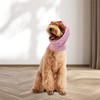 Cat Ears Head Wrap - Calming Noise Cancelling Cover for