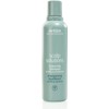 Aveda Scalp Solutions Balancing Shampoo Limpiador Hidratante
