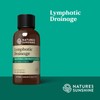 2 Pack Lymphatic Drainage Supplement – Herbal Detox Formula to