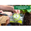 RESCUE! Outdoor Disposable Hanging Fly Trap - 8 Traps
