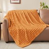 BEDELITE Updated Burnt Orange Throw Blanket for Couch and Bed-