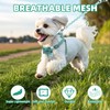 PUPTECK Dog Harness and Leash Set Small Sized, Step-in Cute