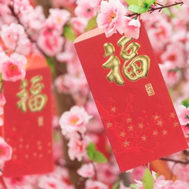 KI Store Chinese New Year Red Envelopes 29pcs for Year of the Dragon 2024 Lunar New Year Hong Bao Packet Lai See for Spring Festival Wedding Graduation Birthday and Baby