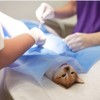 Vet Spaying Fenestrated Drape Surgical Drape | Neutering Surgical Drape