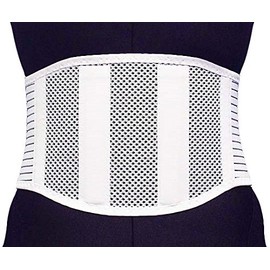 Lumbar Fixed Belt Guard Fit LL / 8-1638-04