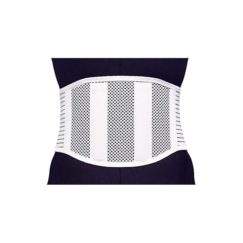 Lumbar Fixed Belt Guard Fit LL / 8-1638-04