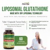Herba Herba Liposomal Glutathione Supplement - 600mg Per Day |