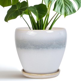 EPFamily Ceramic Pots for Plants - 8 Inch Planter with Drainage Hole and Saucer, Round Flower Pot for Indoor Outdoor Plants, Decorative Planter, House Patio Decor, Housewarming Gifts, White-Grey
