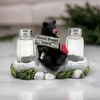 The Bridge Collection Rustic Black Bear With Cardinal Salt And