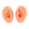 Silicone Ear Model Human Artificial Ear Display for Hearing Aids