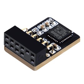 NewHail TPM2.0 Module TPM SPI 12-Pin Module with Infineon SLB 9670 for Gigabyte Motherboard