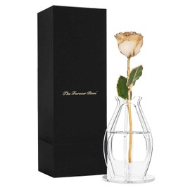 Forever Rose Bloom Box Bundle, 24K Gold Dipped Diamond Rose, The April Birthstone, Real 24k Gold Dipped Rose, Hand Dipped, 11" to 12" in a Beautiful Phantom Vase and Blooming Box