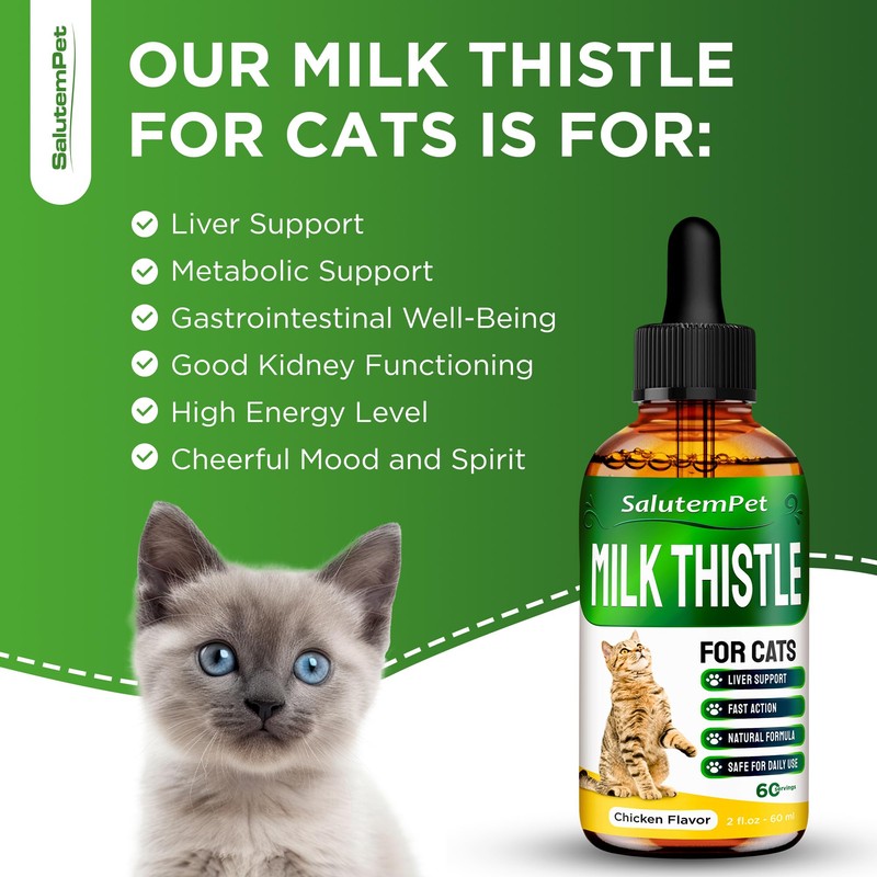 Сat Kidney Support | Milk Thistle for Cats | Herbal