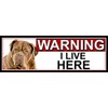 SHAWPRINT Dogue-De-Bordeaux WARNING I LIVE HERE METAL GATE SIGN 266mm