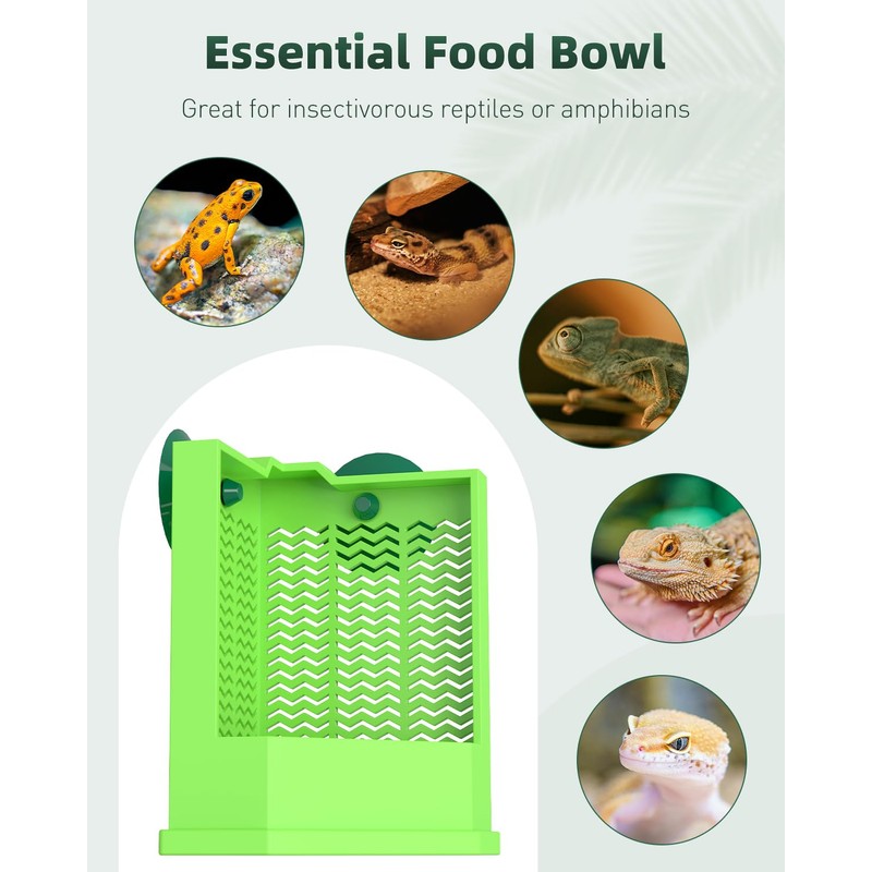 Pawfly Bearded Dragon Feeder - Escape-Proof Corner Reptile Food Box,