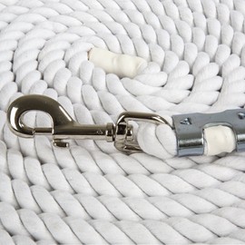 Intrepid International Horse Lunge Line Rope