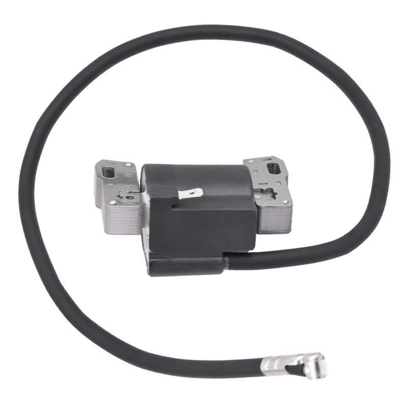 NIMTEK 390323 Carburetor with Ignition Coil for BS 394228 7HP