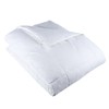 Lavish Home Twin Comforter, White Goose Down Alternative Comforter, Hypo-Allergenic,