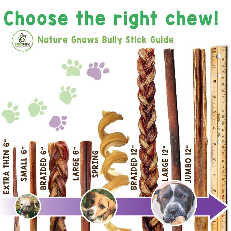 Nature Gnaws Bully Sticks for Large Dogs - Premium Natural