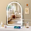 halumao 16" x 23.6" Large Makeup Vanity Mirror with Lights