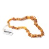 Amber Collar for Dogs and Cats - 100% Natural Baltic