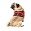 Bobby Easy Safe Dog Harness Red