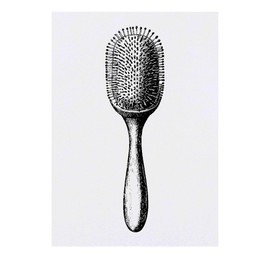 'Single Hairbrush' Temporary Tattoo - Water Resistant, Skin-Safe, Non-Toxic Transfer (TO00076753)
