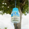 Raid Reusable Fly Jar Trap with Lure​