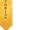 Endea Graduation Salutatorian Stole (Gold)