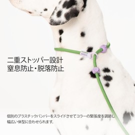 Dog Leash with Integrated Collar and Lead, P-Shaped Leash for Training, Training, Small Dogs, Medium Dogs, Large Dogs, Collars, Pets, Pet Goods, Dogs (Green)