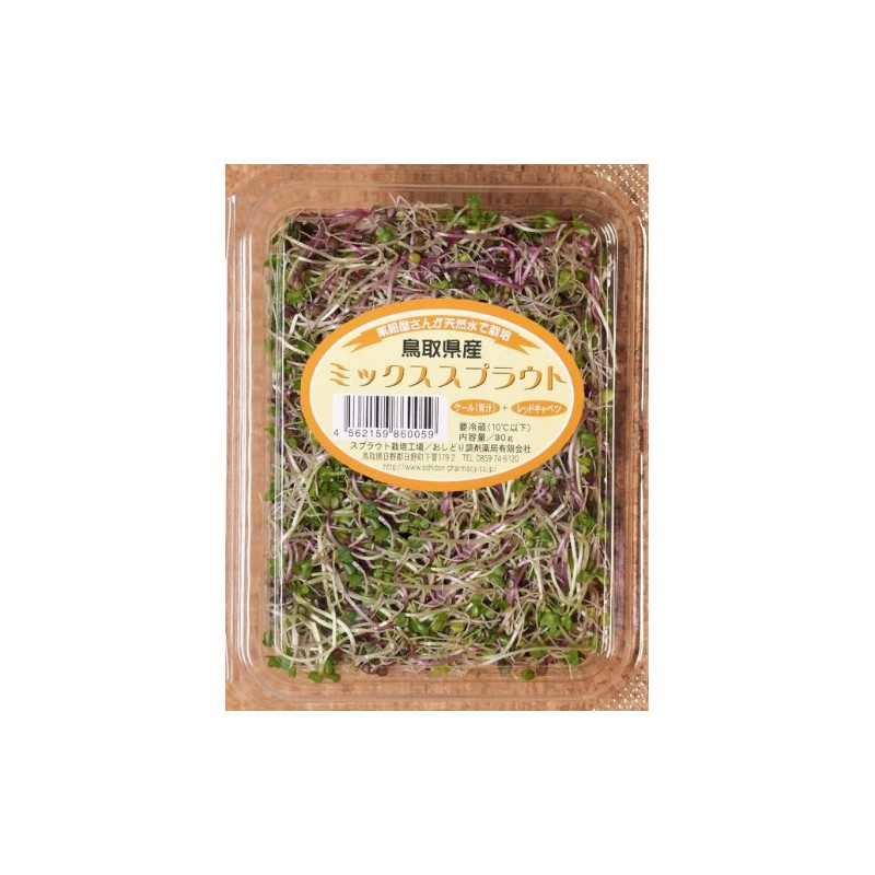 Sprout, 6 Types, 12 Pack Set