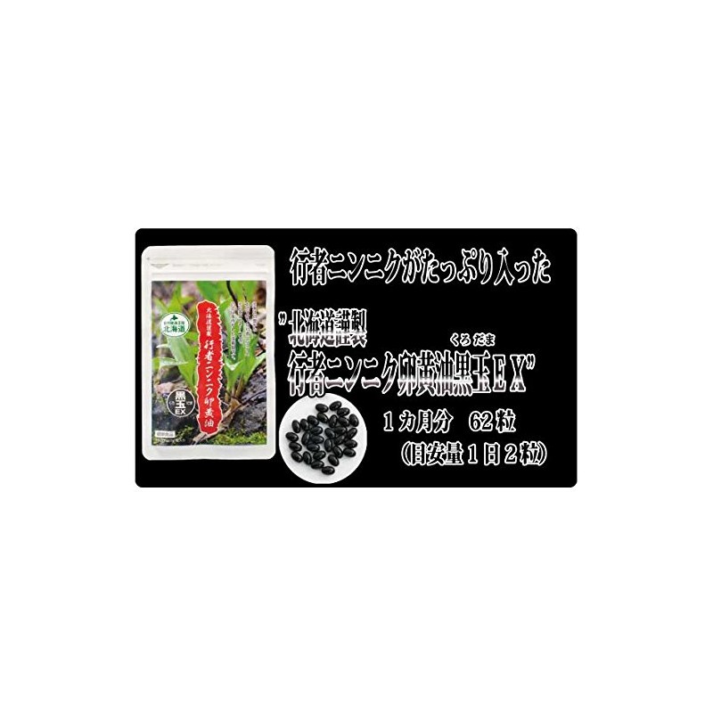 北海道行者ニンニク黒玉 450mg×62球