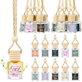 Funnymoom 20 Pcs Team Gifts Bulk Appreciation Gift Car Air Freshener Diffuser Hanging Car Empty Glass Essential Oil Diffuser Christmas Thank You Gifts for Employee Coworker Teachers Staff