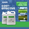 Agrisel GlyPhoSel Pro Weed Killer, Tackles Hard-to-Kill Weeds, Low-Odor, Easy
