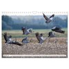 Bei den Kranichen (Wandkalender 2026 DIN A4 quer), CALVENDO Monatskalender