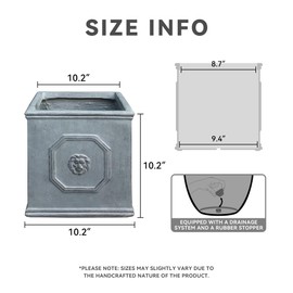 Kante Square Lion Head Concrete Planter, Classic English Style Plant Pot with Drainage Hole and Rubber Plug for Indoor Outdoor Garden Patio Home, 10.2"x10.2"x 10.2" Antique Gray