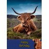 Cow/Highland Cow Birthday Card
