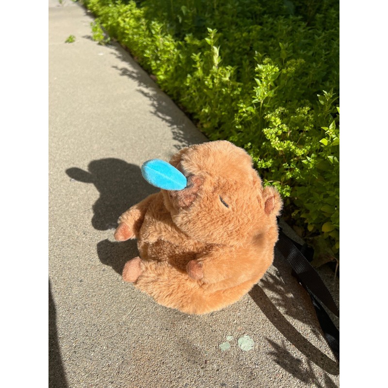 ChalkMate Capybara Snore Chalk Bag